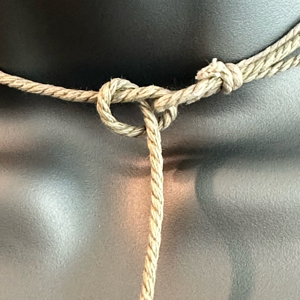 Shark tooth choker necklace - Picture 3 of 7